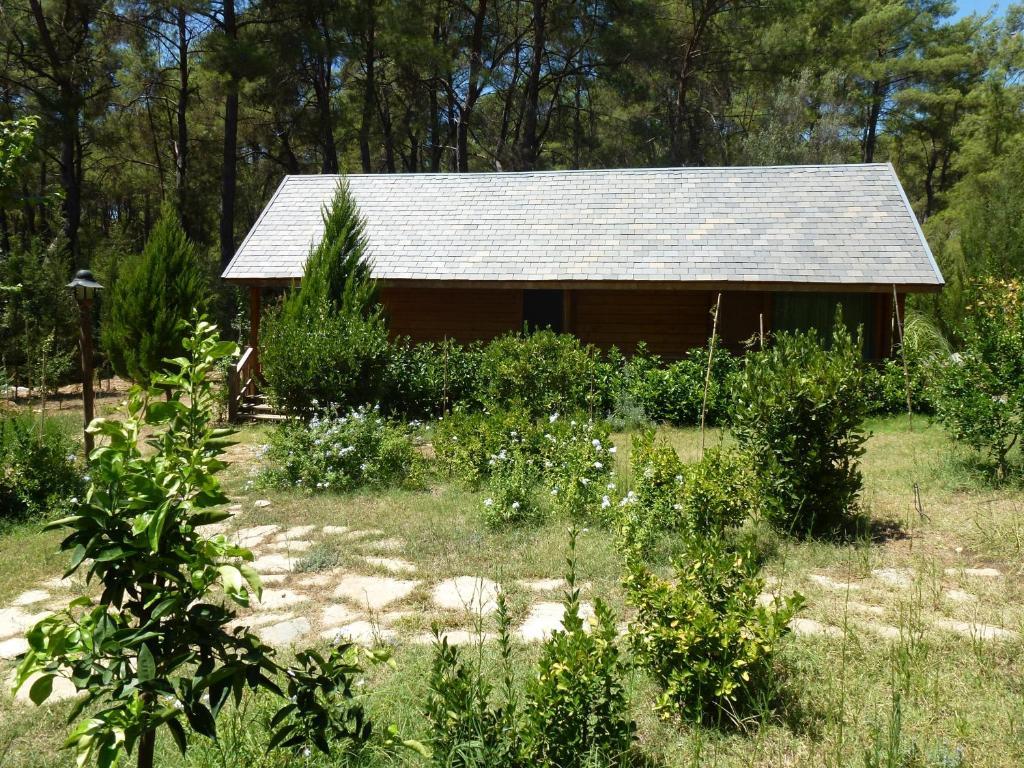 Olympos Village Relaxury Hotel Quarto foto