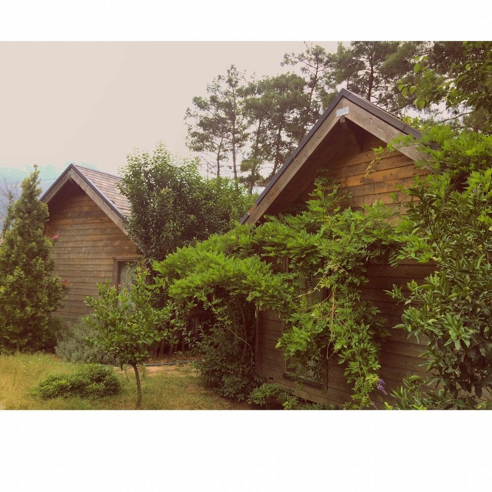 Olympos Village Relaxury Hotel Exterior foto