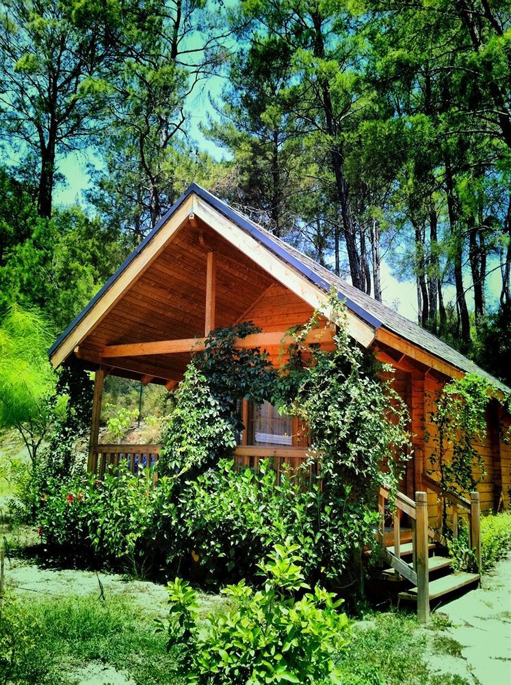 Olympos Village Relaxury Hotel Exterior foto